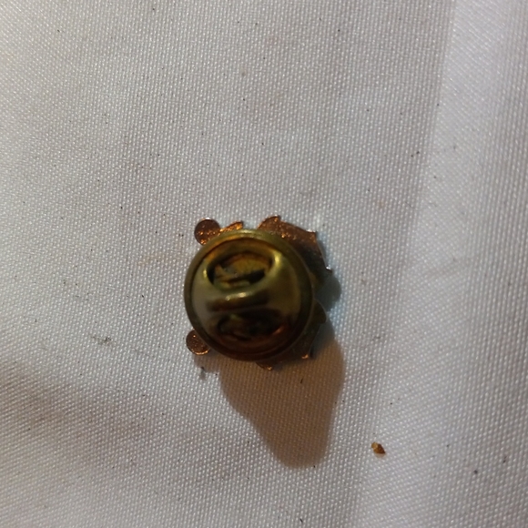 U.S. coast guard auxiliary pin - Picture 2 of 3